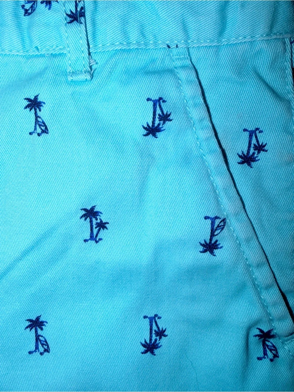The Children’s Place Boys Aqua Palm Tree Print Chino Shorts